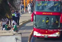 Murió un hincha de Palmeiras tras caerse de un bus durante una excursión turística en la previa de la final de Copa Libertadores