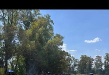 Los videos y fotos de la despedida del año de La Doce, la barra de Boca Juniors: la ostentación de las banderas robadas