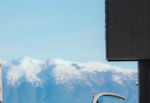 El debut de Franco Colapinto en la nueva era de la Fórmula 1: las causas de la bandera roja, sus tiempos y los detalles de su actuación