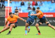 El insólito blooper que definió el partido en Sharks-Stormers por el United Rugby Championship