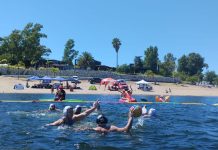 Los seniors que superan el desafío de volver al waterpolo y a la competencia en aguas abiertas: “Exigencia y disfrute”