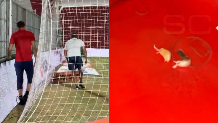 Superstición en el fútbol argentino: aparecieron dientes de ajo en la previa del duelo entre Instituto e Independiente