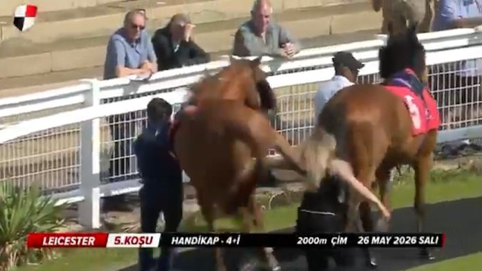 La espeluznante patada de un caballo a una mujer antes de una carrera en un hipódromo: “Accidente desafortunado”