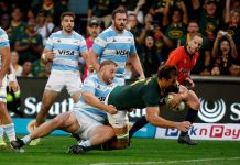 Los Springboks ya están en Buenos Aires y se preparan para enfrentar a Los Pumas